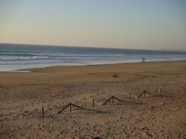 Lands and plots for sale in El Palmar