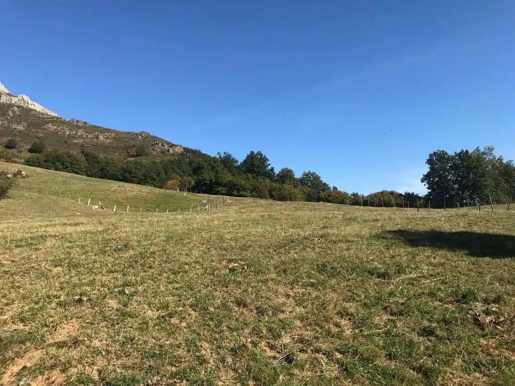 Terreni e lotti in vendita a Vega de Liébana, imagen 2