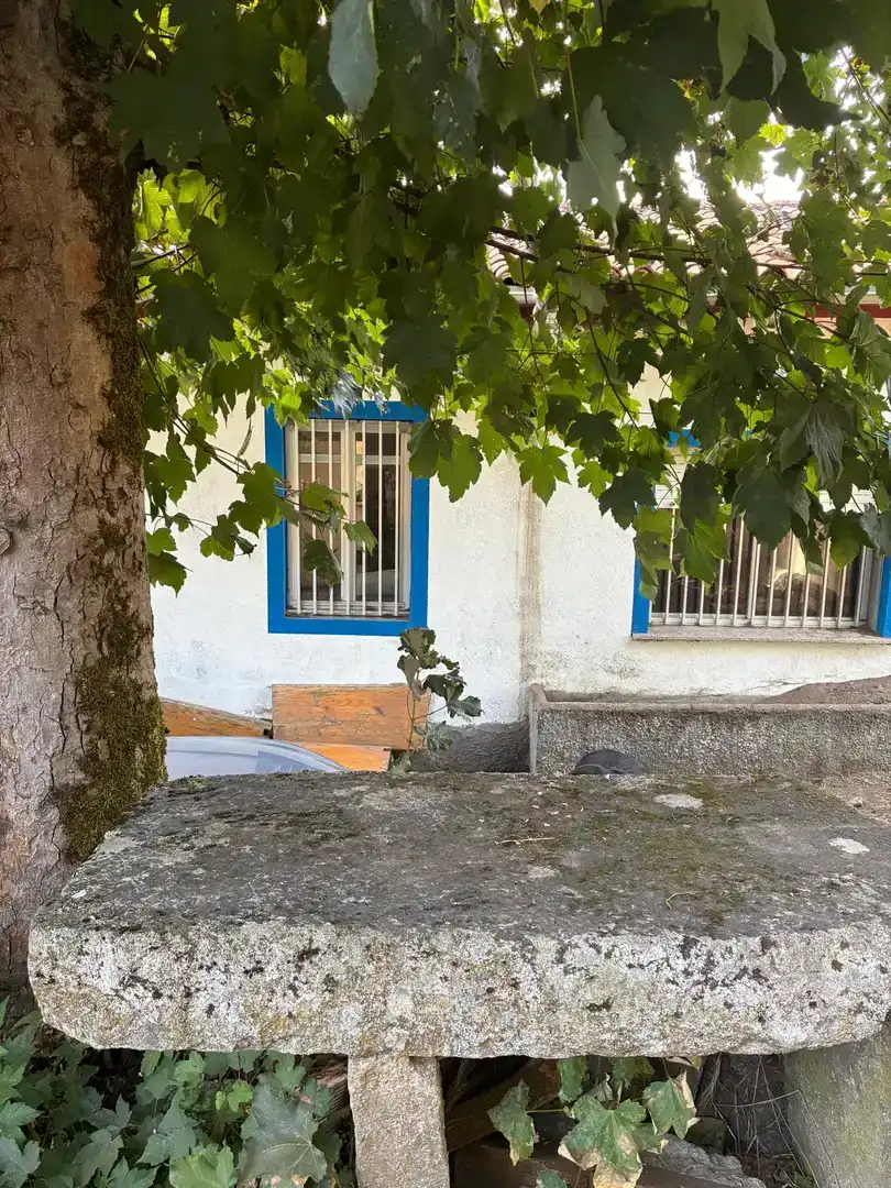 Vista exterior de Casa o chalet en venta en Parada de Sil con Jardín privado, Trastero y Amueblado
