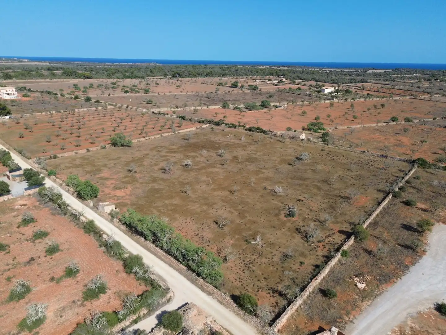 Wohnbaugrundstück zum Verkauf in Ses Salines Poble, imagen 6