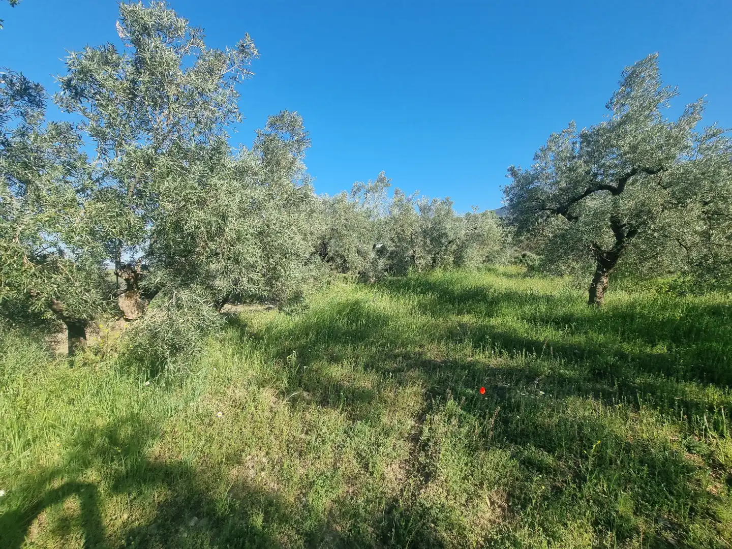 Terreno en venta en Abrucena