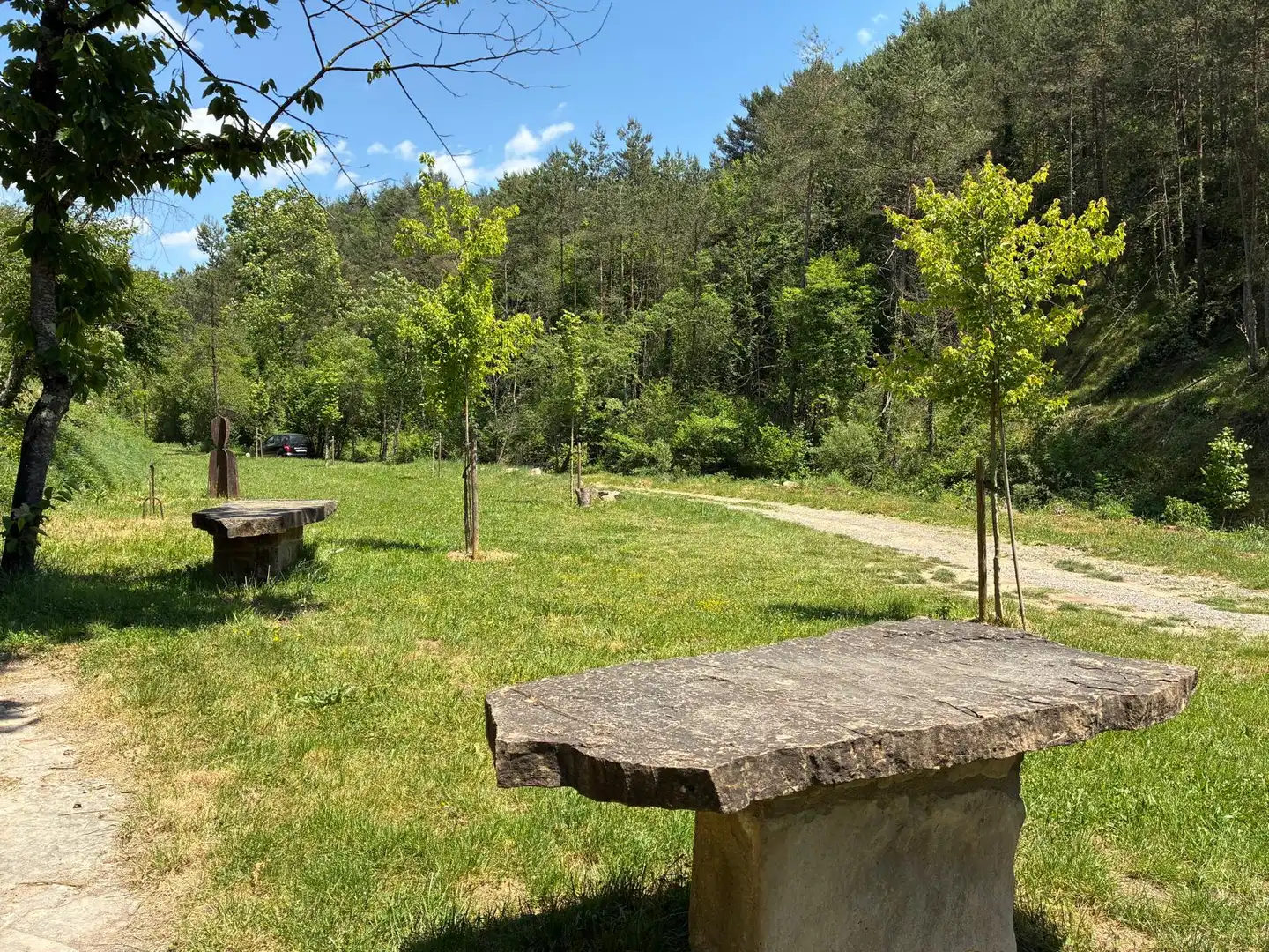 Jardí de Finca rústica en venda en Borredà amb Jardí privat, Terrassa i Traster