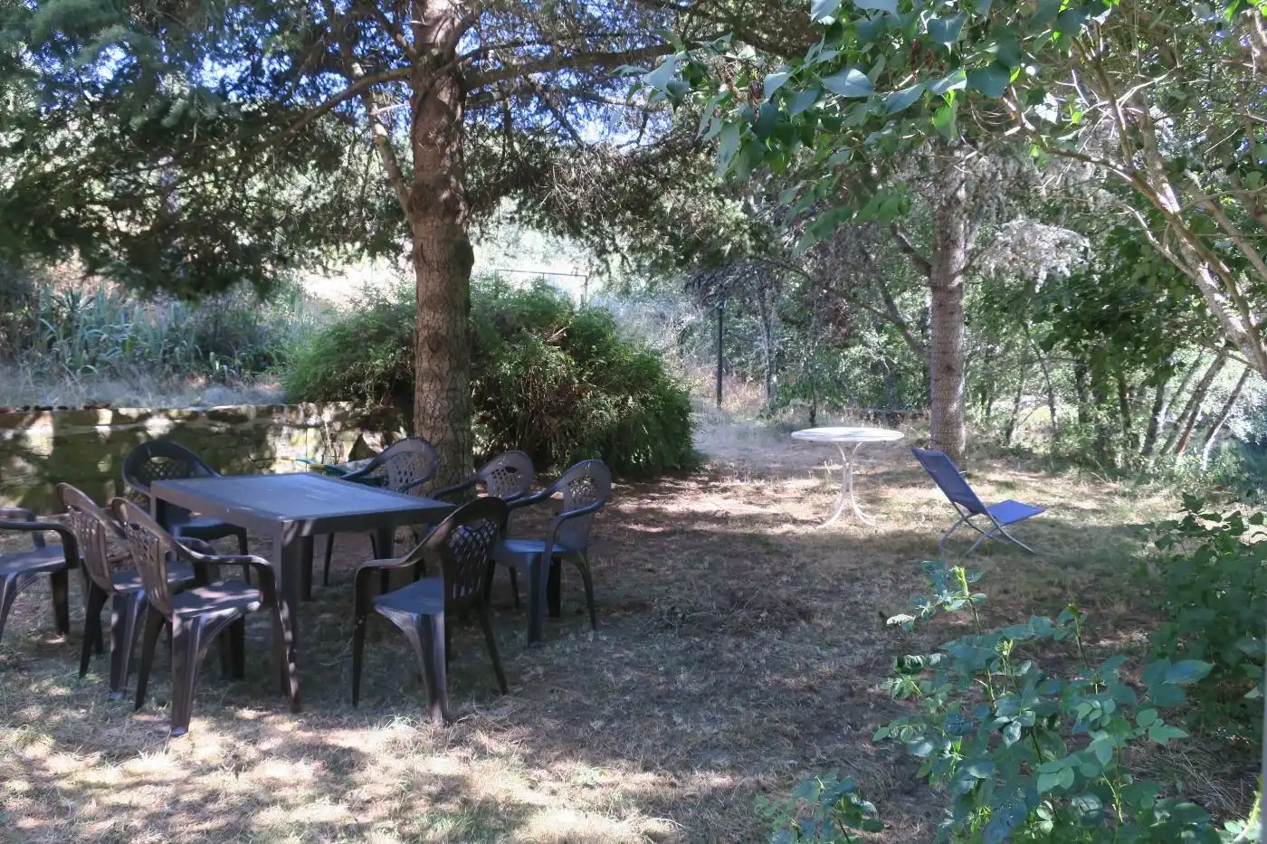 Jardí de Local en venda en Puebla de Sanabria