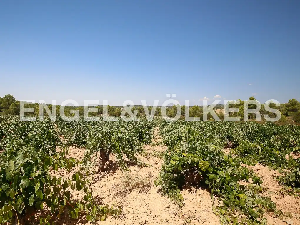 Finca rústica en venda a Requena