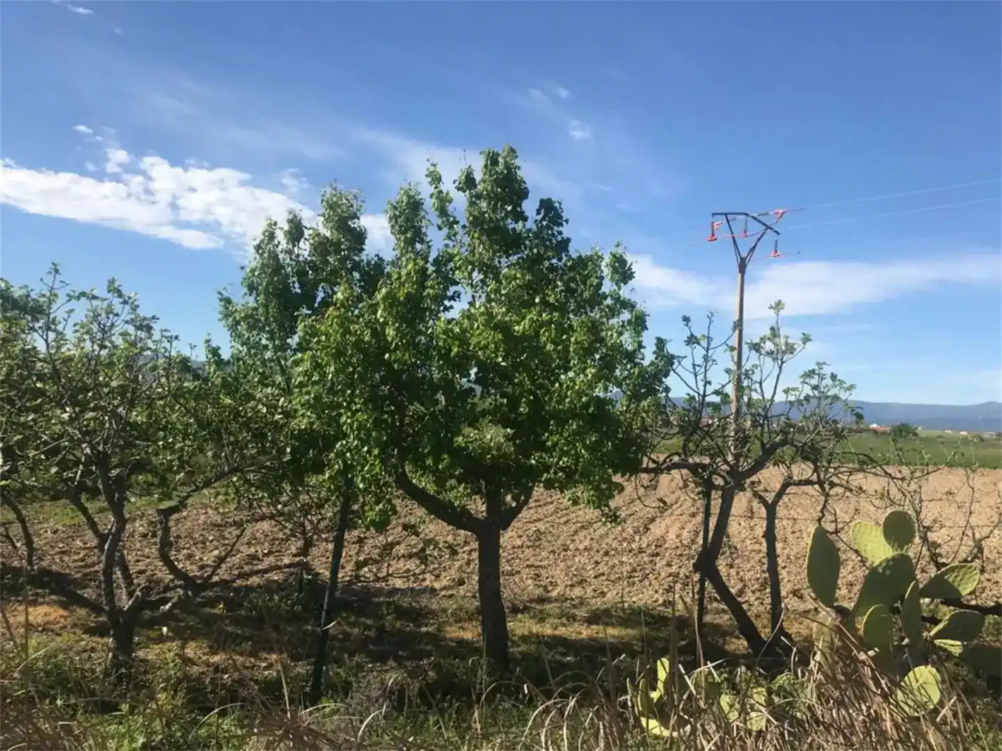 Land for sale in Moraleja