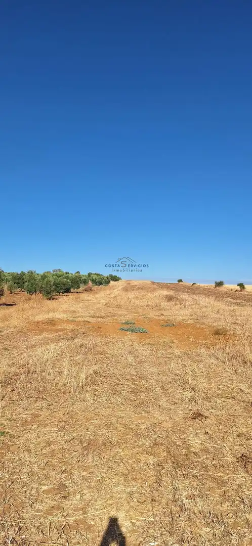 Terreno rústico en venta en Gibraleón, imagen 4