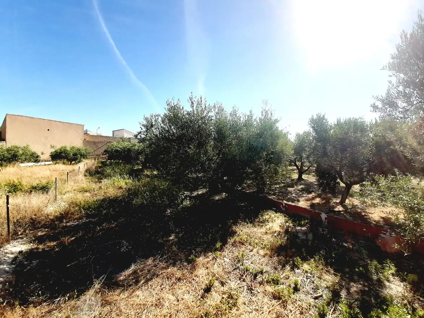 Lands and plots for sale in Mula, imagen 10