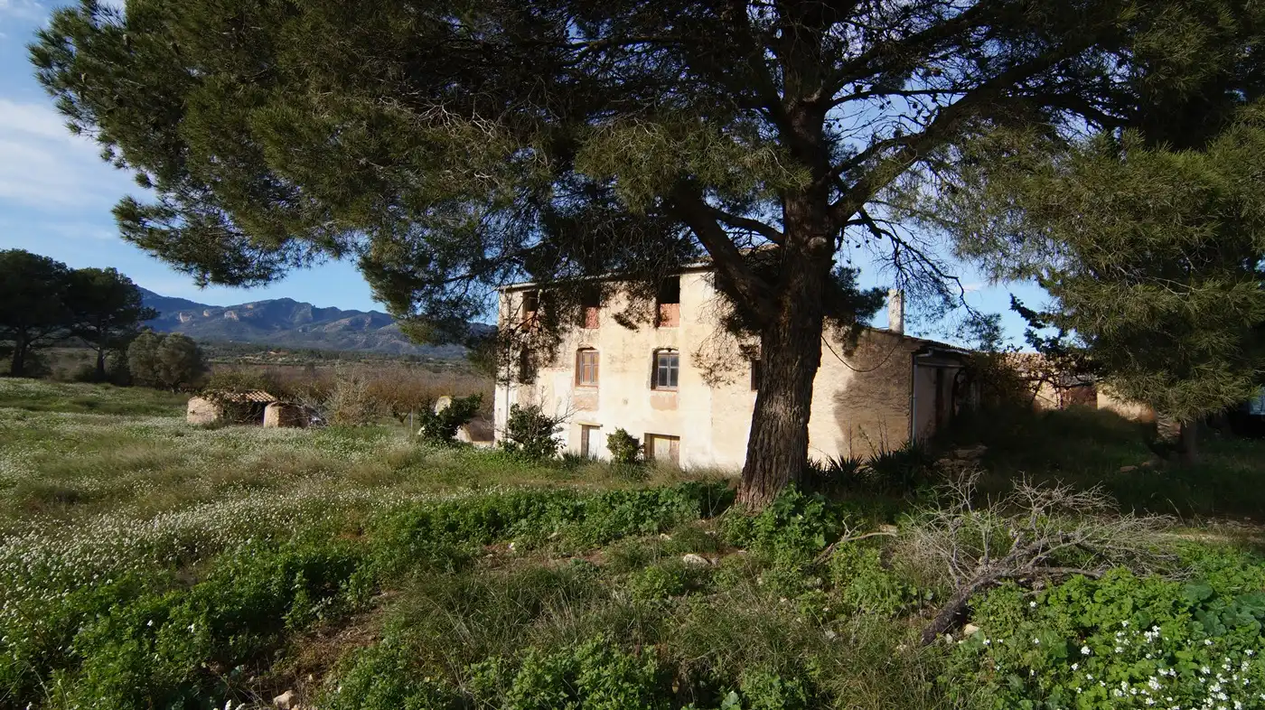 Vista exterior de Terreno en venta en Tivissa