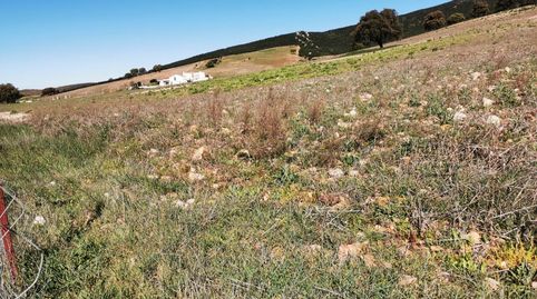 Cortijo con tereno , ideal para vivir y conectar con la naturaleza