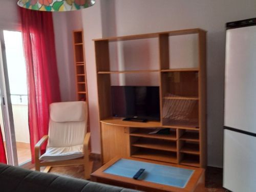 Wohnzimmer von Wohnung zur Miete in Málaga Capital mit Terrasse und Möbliert
