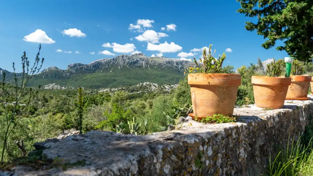 Maison rustique à vendre à Escorca, imagen 19