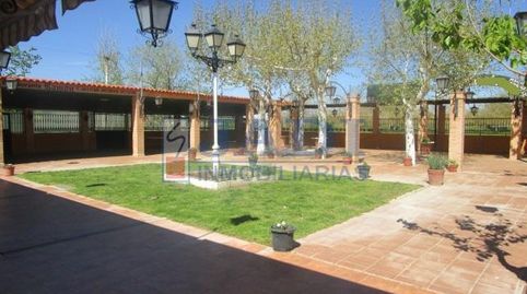 ValdepeñasLocal