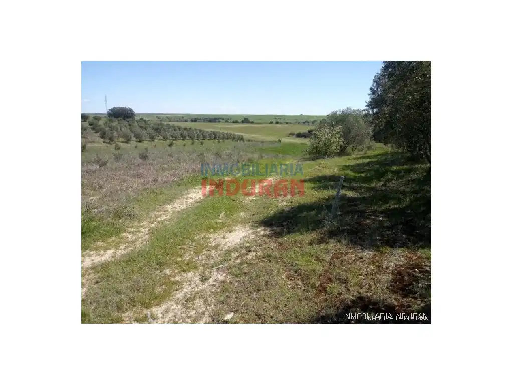 Country homes for sale in Alcolea de Tajo