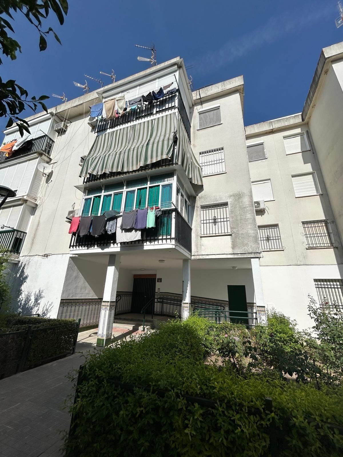 Exterior view of Flat for sale in Utrera  with Terrace