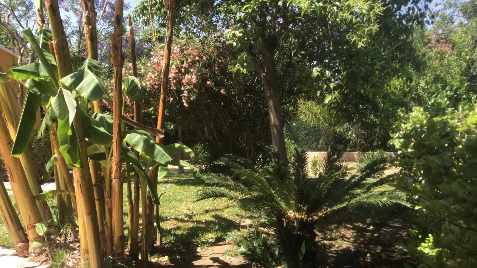 Xalet amb terrassa en venda a Pedanías Centro, imagen 31
