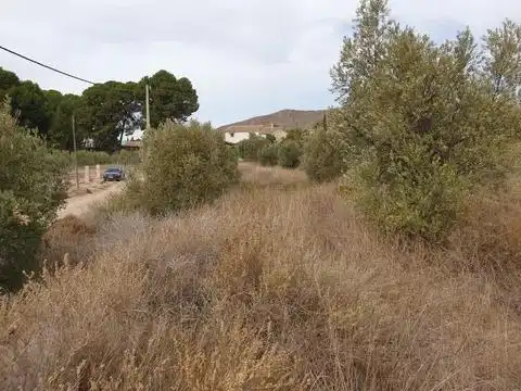 Grundstücke und Bauplätze zum Verkauf in Camino Camino Murcia, imagen 6