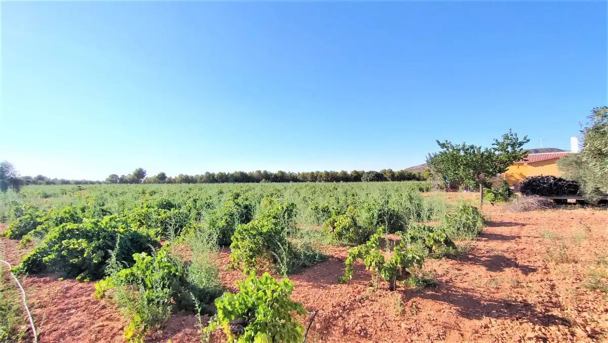 Casa rústica en venda a San Carlos del Valle (Carril de las Chozas) km 3, imagen 28