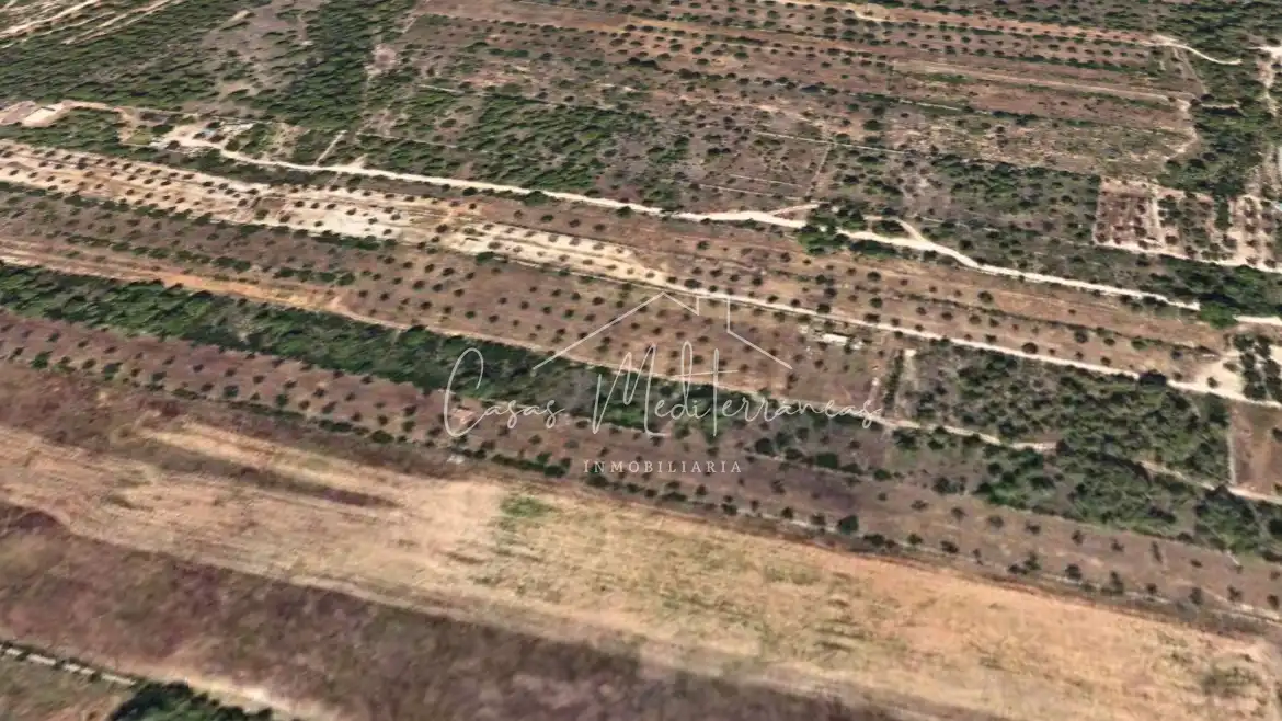 Rural land for sale in Tivissa, imagen 8