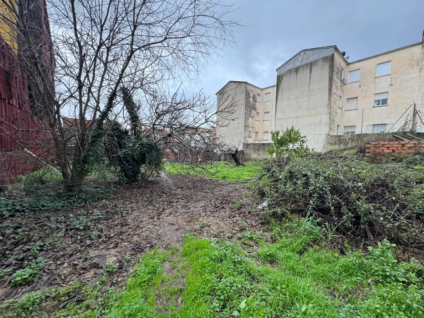 Terreni e lotti in vendita a Candeleda