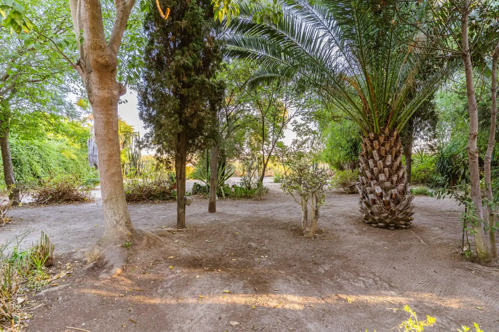 Garden of Houses for sale in Jerez de la Frontera  with Private garden