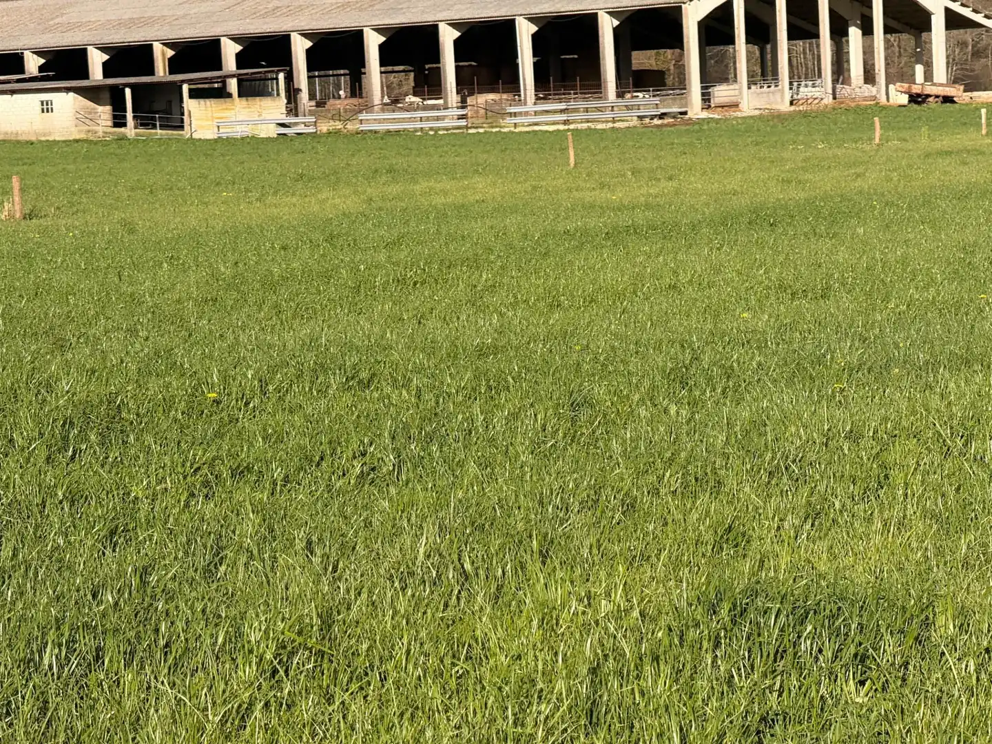 Terreno rústico en venta en Entrambasaguas, imagen 7