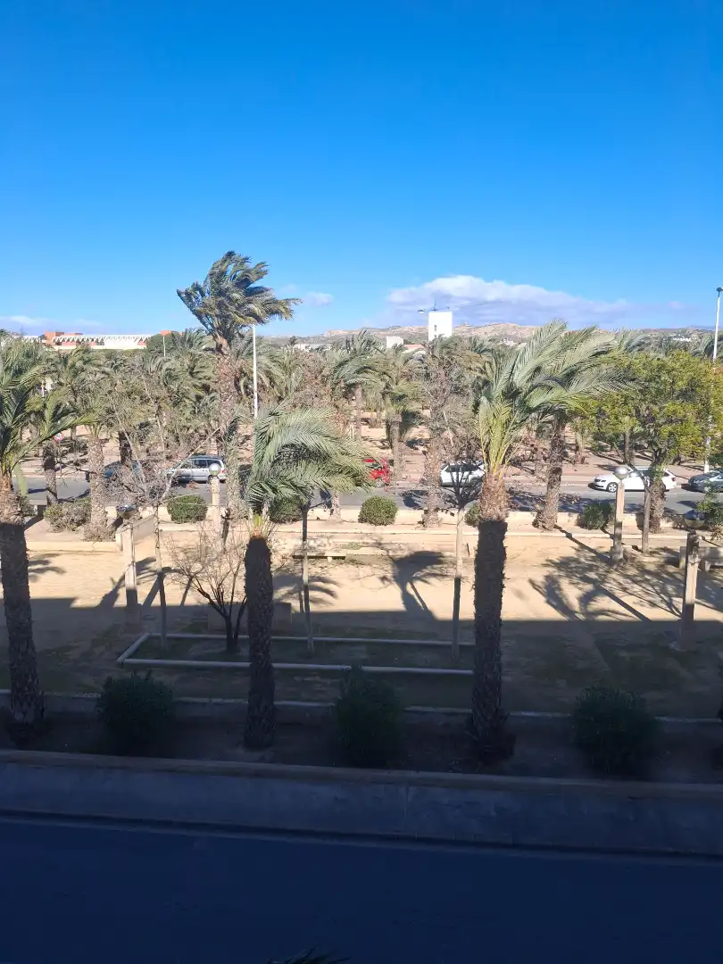 Vista exterior de Pis en venda en Elche / Elx