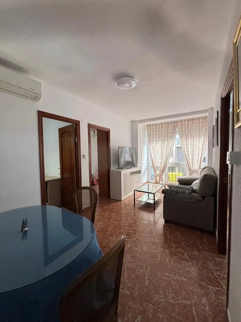 Sala de estar de Piso de alquiler en Granada con Aire acondicionado y Amueblado