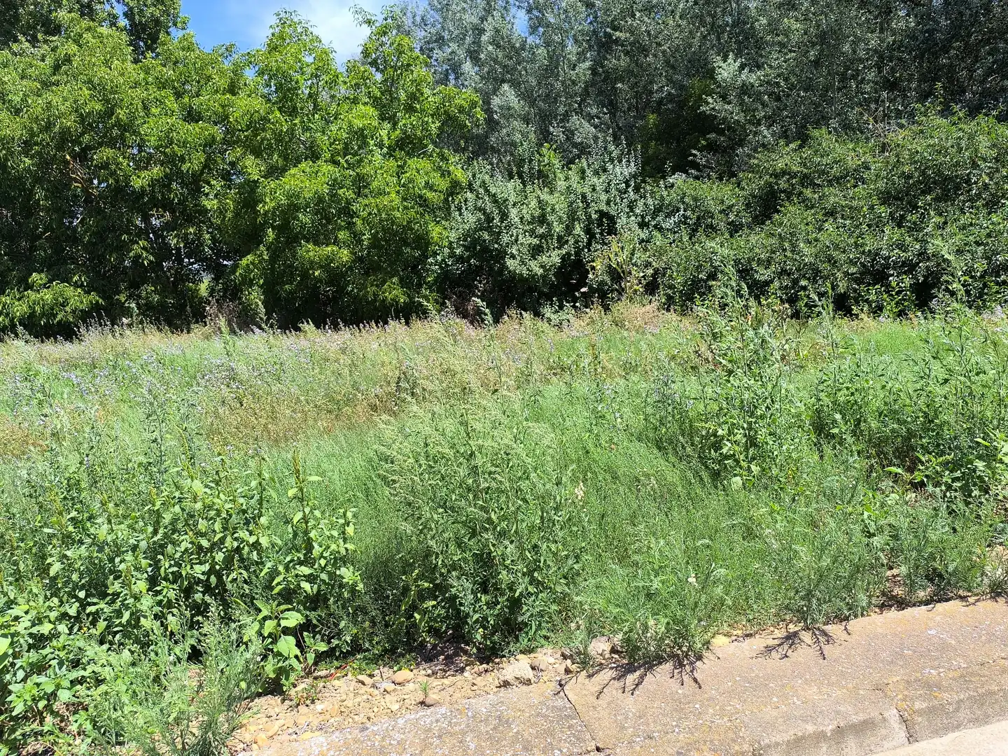Residencial en venta en San Millán de los Caballeros