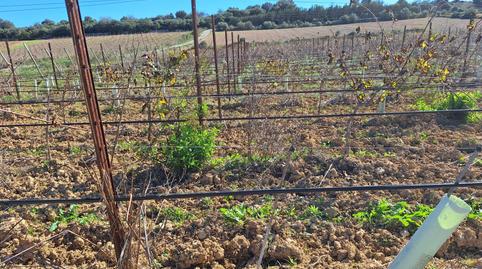 Foto 4 de Residencial en venta en Santa Margalida Poble, Illes Balears