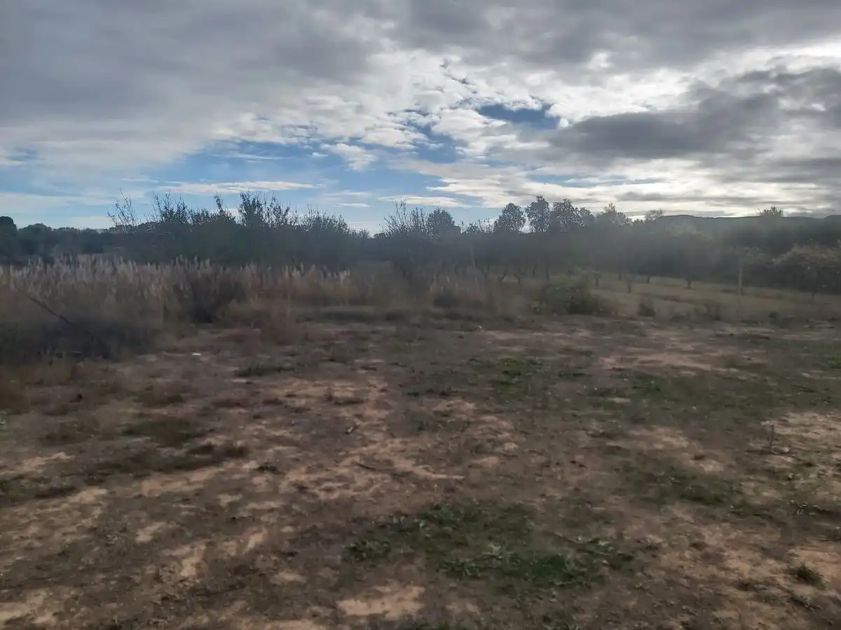 Terreno rústico en venta en Castelldans