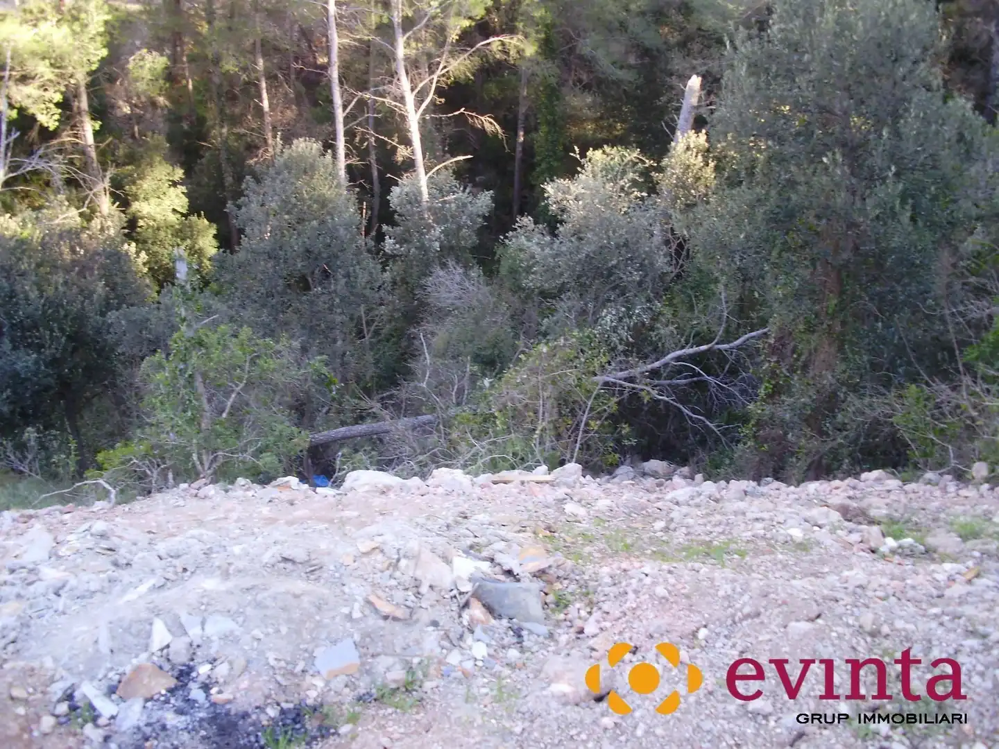 Lands and plots for sale in Vallirana, imagen 5