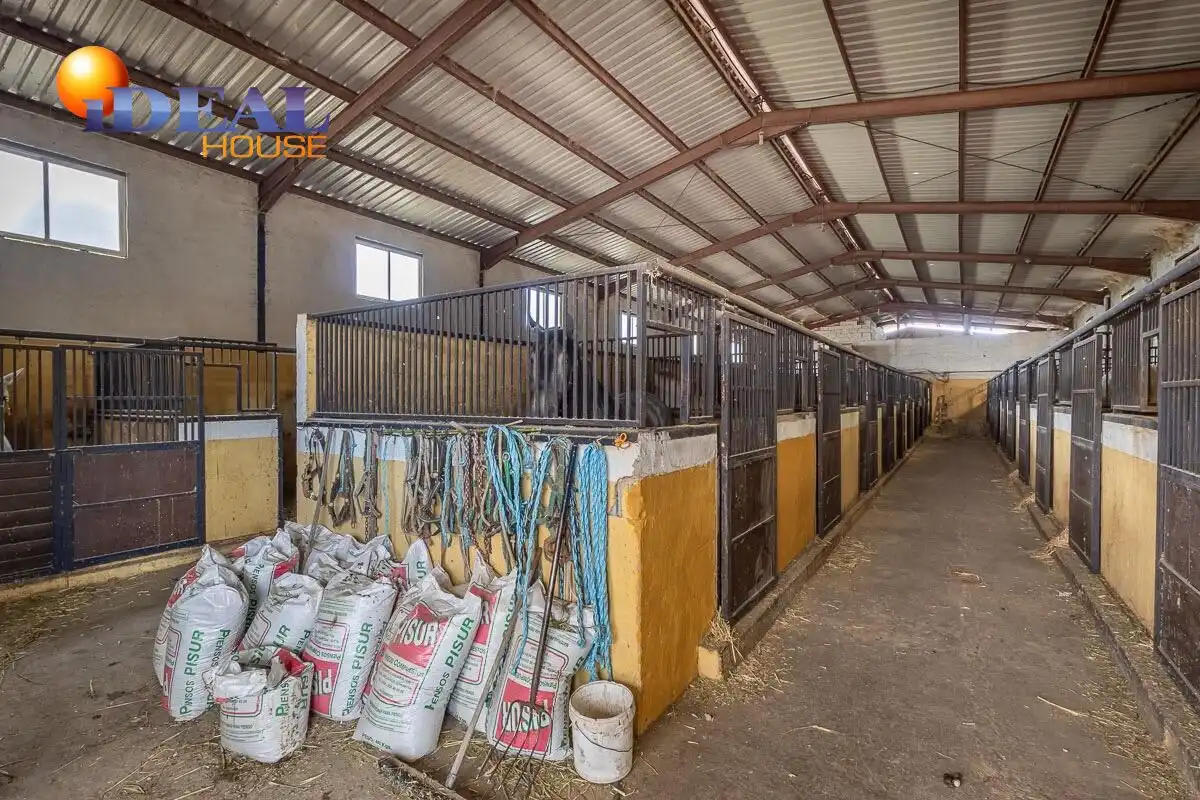 Chalet con jardín en venta en La Zubia Ciudad, imagen 29