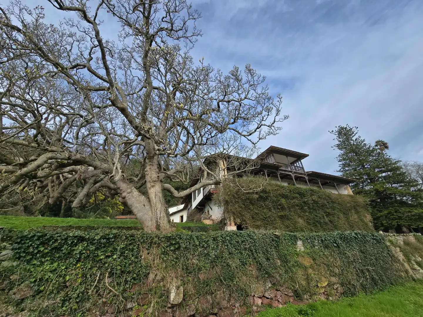 Vista exterior de Casa o chalet en venta en Villaviciosa con Calefacción y Jardín privado