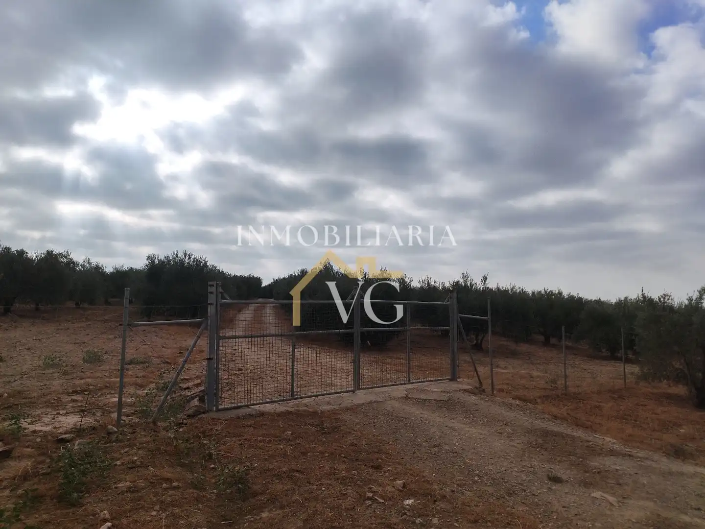 Rural land for sale in Guillena pueblo, imagen 3