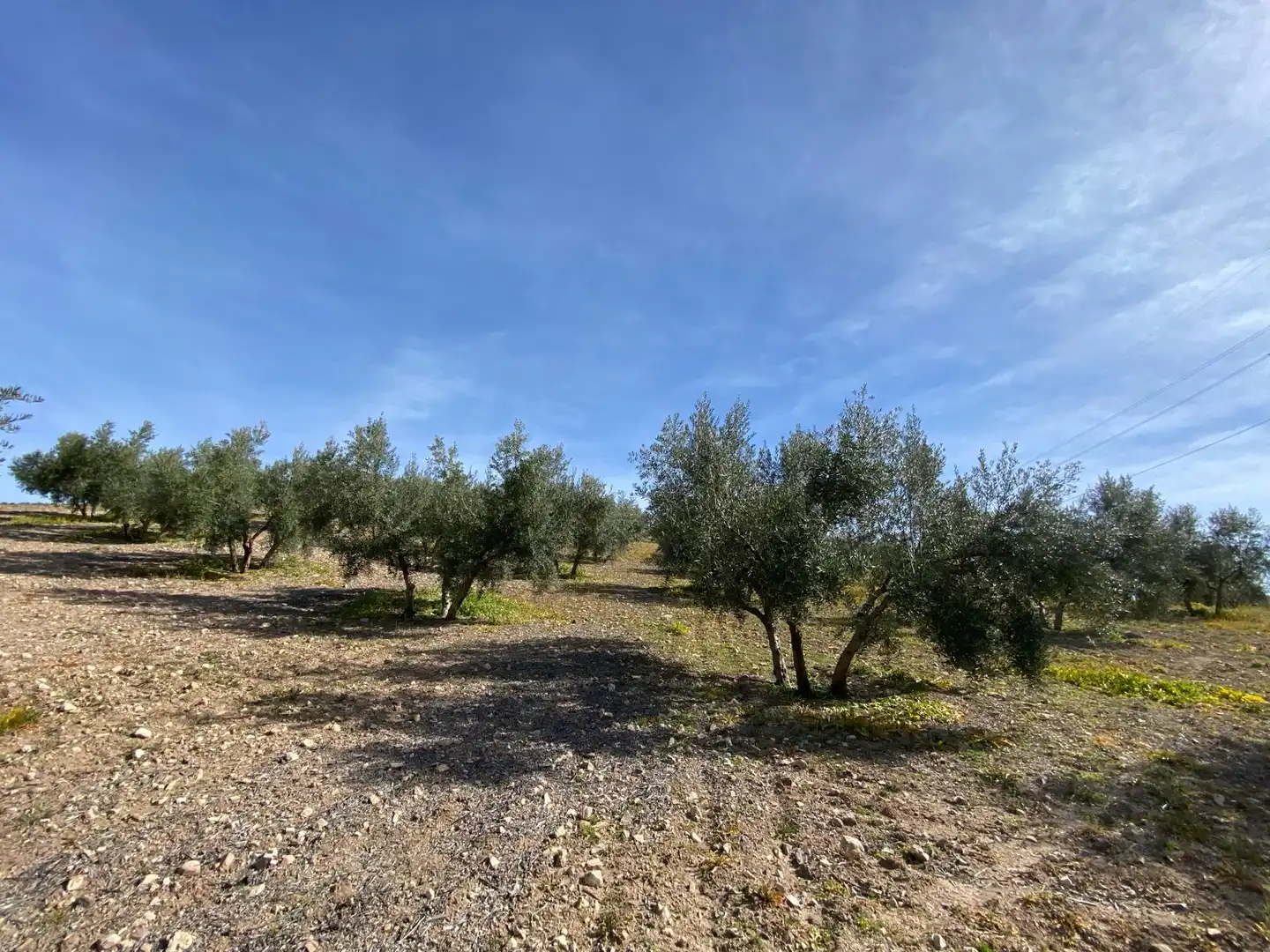Terreno en venta en Villanueva Mesía