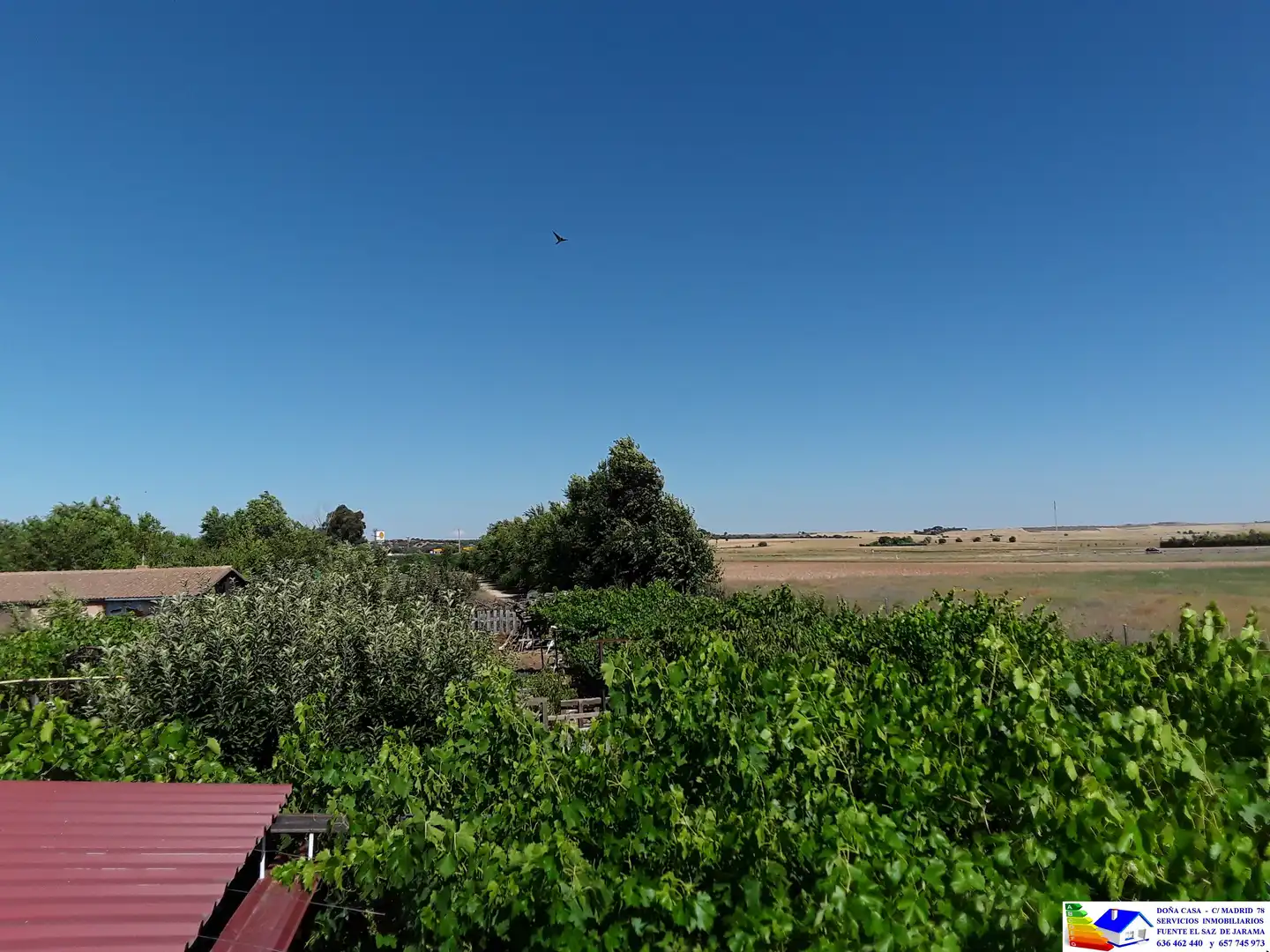 Jardín de Casa o chalet en venta en Fuente El Saz de Jarama con Aire acondicionado, Calefacción y Jardín privado