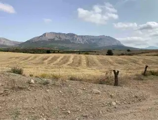 Terreny en venda en Vélez-Rubio