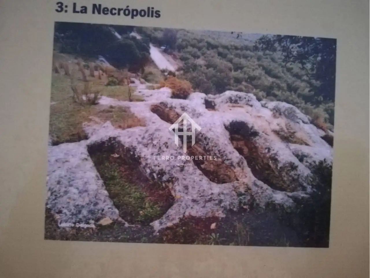 Finca rústica en venta en Zagra
