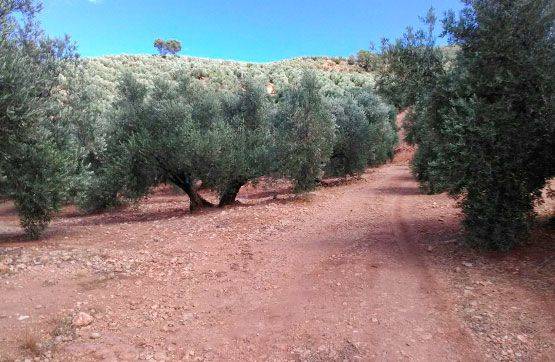 Terreno en Venta en N-322 en Arroyo del Ojanco