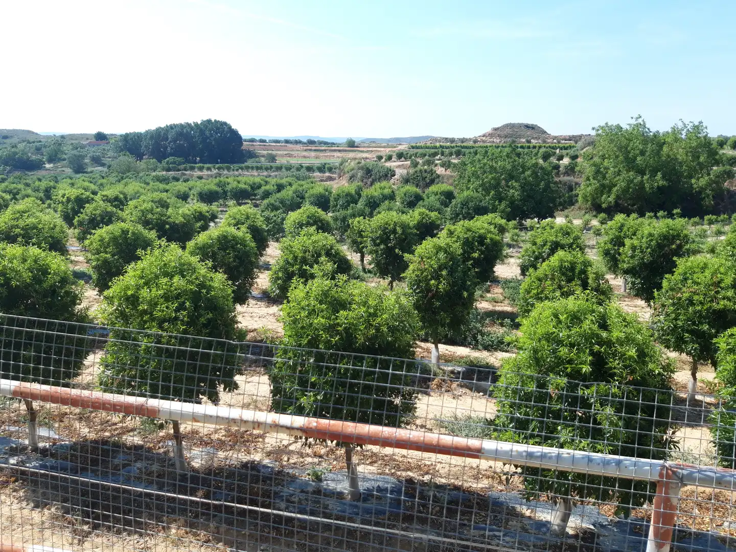 Jardín de Finca rústica en venta en Caspe con Amueblado