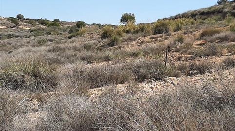 Foto 5 de Residencial en venda a Pp Granados, Gea y Truyols, Murcia