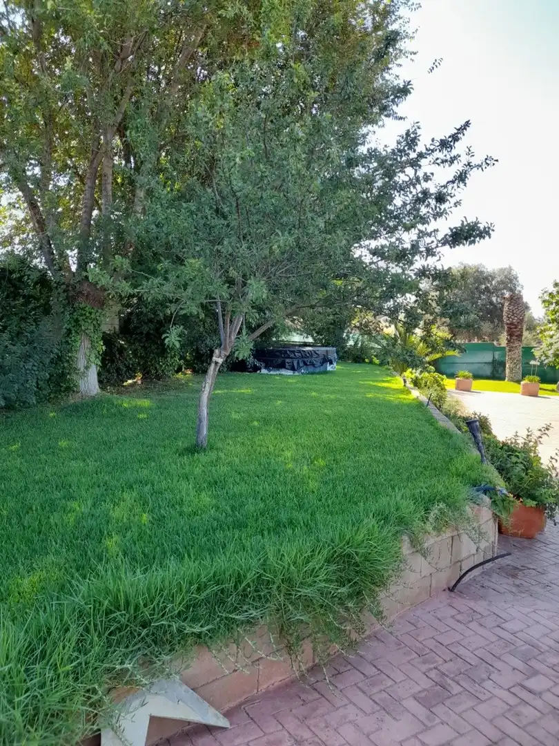 Jardín de Casa o chalet en venta en Cáceres con Jardín privado, Terraza y Trastero
