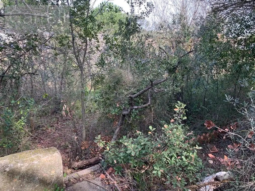 Grundstücke und Bauplätze zum Verkauf in CL CERVOL 
 CERVELLO (BARCELONA), imagen 11
