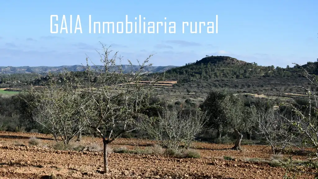 Terreni e lotti in vendita a Maella, imagen 5