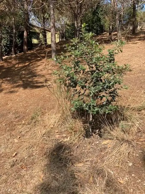 Casa o xalet en venda en Carballo amb Terrassa i Forn