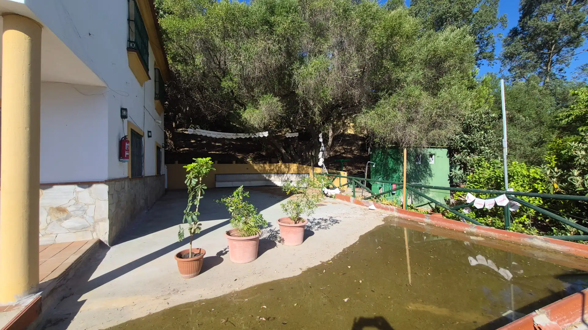Jardí de Finca rústica en venda en Los Barrios amb Jardí privat, Terrassa i Piscina
