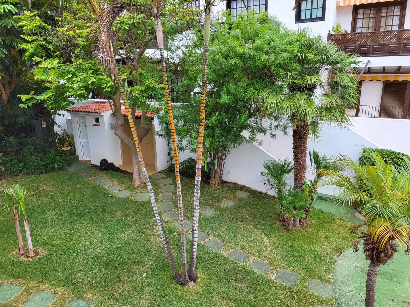 Jardí de Apartament en venda en Puerto de la Cruz amb Piscina, Moblat i Balcó