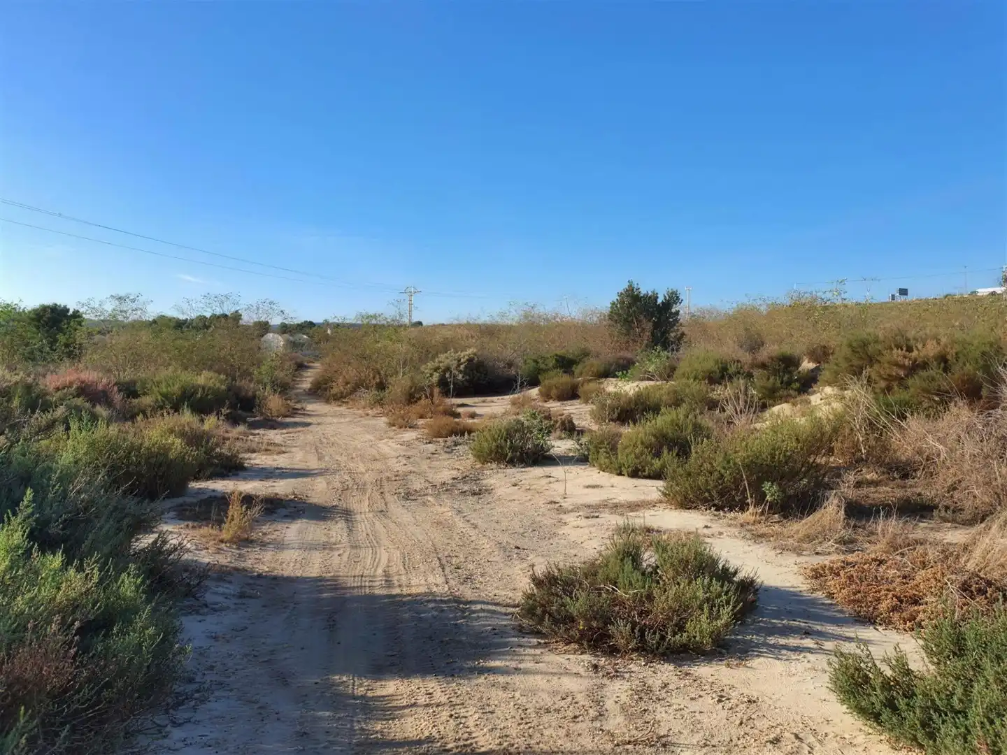 Rural land for sale in Calle Sierra Ventos-rebolledo, imagen 2