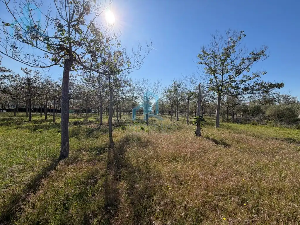 Casa o chalet en venta en Constantí