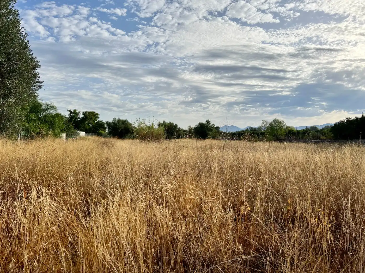 Residential land for sale in Las Tiesas, imagen 6
